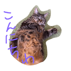 [LINEスタンプ] ウチのしっぽさん