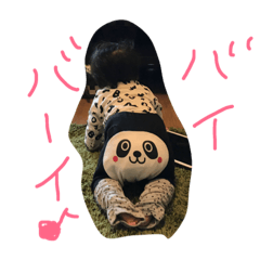 [LINEスタンプ] カイラの日常