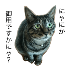 [LINEスタンプ] リリティのつぶやき第二弾