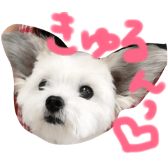 [LINEスタンプ] もかちゃんすたんぷ