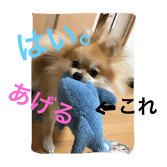 [LINEスタンプ] シャロンの日常