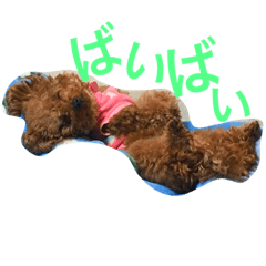 [LINEスタンプ] モモ太郎です。