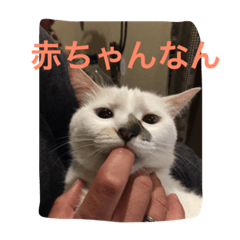 [LINEスタンプ] KeroKenkero