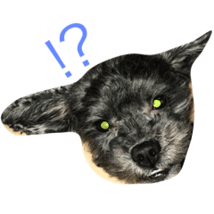 [LINEスタンプ] うちの愛犬たけるくん