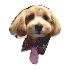 [LINEスタンプ] ばろんさん