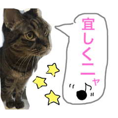 [LINEスタンプ] Ram chan stump