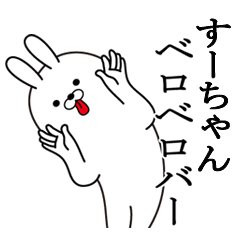 [LINEスタンプ] すーちゃんの最高名前スタンプ