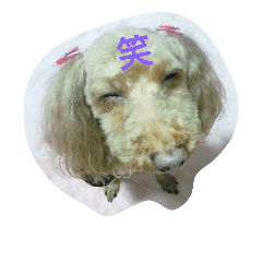 [LINEスタンプ] ぷりんとふくろう