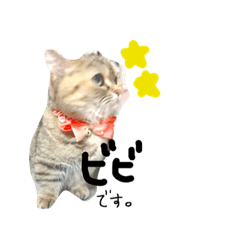 [LINEスタンプ] びびちゃんだよー！