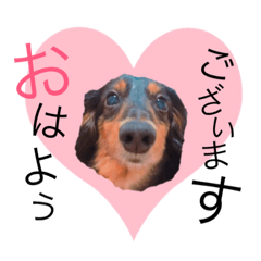 [LINEスタンプ] たらこ＆もずく