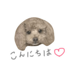 [LINEスタンプ] ろんくん♡①