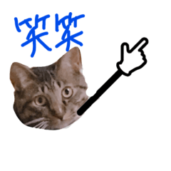 [LINEスタンプ] ぷっかの指差し棒
