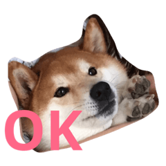 [LINEスタンプ] 柴犬福の日常スタンプ