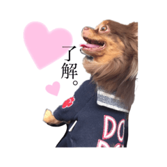 [LINEスタンプ] れおっぴ