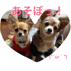 [LINEスタンプ] ウチのバカ犬