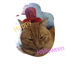 [LINEスタンプ] 日本の猫 2