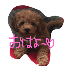 [LINEスタンプ] るる＆だぶの日常パート01