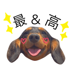 [LINEスタンプ] ナル2