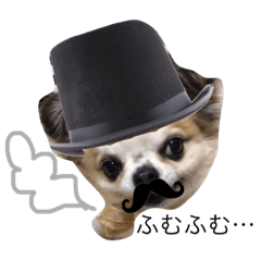 [LINEスタンプ] ファンタ