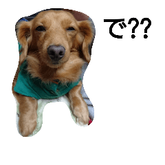 [LINEスタンプ] 犬×犬