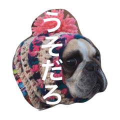 [LINEスタンプ] フレンチブルドッグのmimo②
