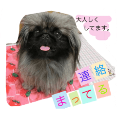 [LINEスタンプ] るなたん。