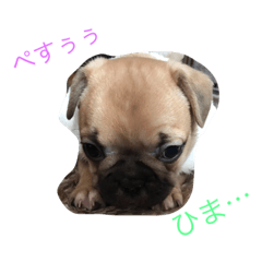[LINEスタンプ] れんりく