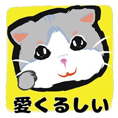 [LINEスタンプ] 小麦粉 cat