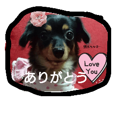 [LINEスタンプ] nana1022