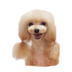 [LINEスタンプ] ムーンパピーズ
