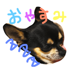 [LINEスタンプ] ほっぷらいふ