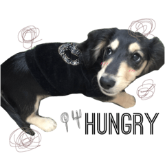[LINEスタンプ] ジャック19