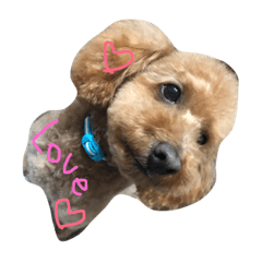[LINEスタンプ] ぷーた