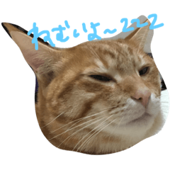 [LINEスタンプ] むさこじ