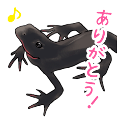 [LINEスタンプ] アカハライモリのおいも