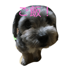 [LINEスタンプ] maru1gou