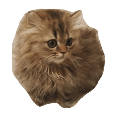 [LINEスタンプ] mequemeque