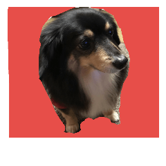[LINEスタンプ] REONLove
