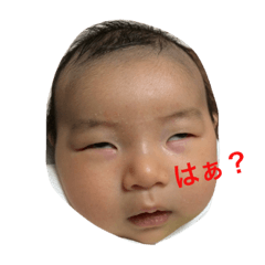 [LINEスタンプ] 雄飛