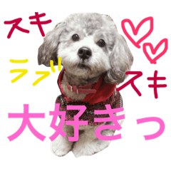[LINEスタンプ] 石井 ティム2