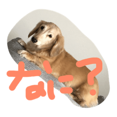 [LINEスタンプ] るぅだん