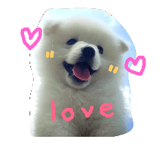 [LINEスタンプ] totang'fam