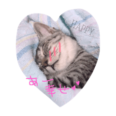 [LINEスタンプ] 家族のうーちゃん