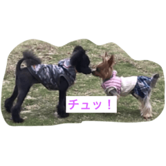 [LINEスタンプ] ポメプー ハルちゃん