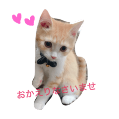 [LINEスタンプ] MIRUchan.