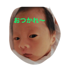 [LINEスタンプ] しんくん1