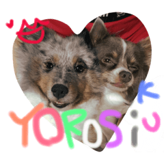 [LINEスタンプ] あむた