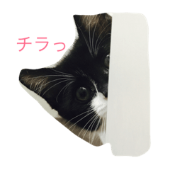 [LINEスタンプ] ララララ