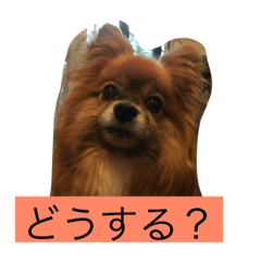 [LINEスタンプ] りえなの日常会話
