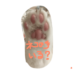 [LINEスタンプ] 我が家のチョコ＆ミルク